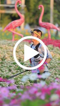 BIB:  <button type="button" onclick="openModal(27582982)" class="btn btn-primary btn-sm float-right" data-toggle="modal" data-target=".modal-high-quality">
                <i class="fa fa-download"></i> Download
                </button>